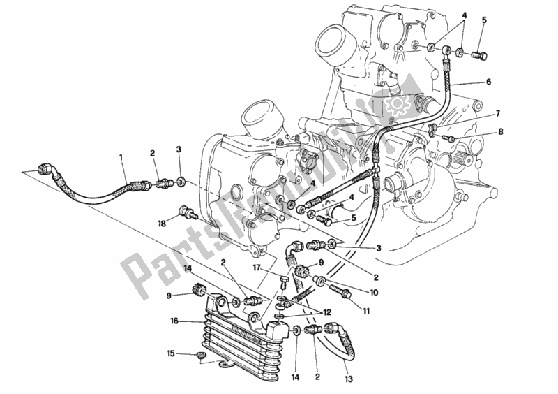 Tutte le parti per il Radiatore Dell'olio del Ducati Superbike 916 Senna 1996